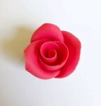 Dortisimo Cukrová růže malá červená (49 ks)