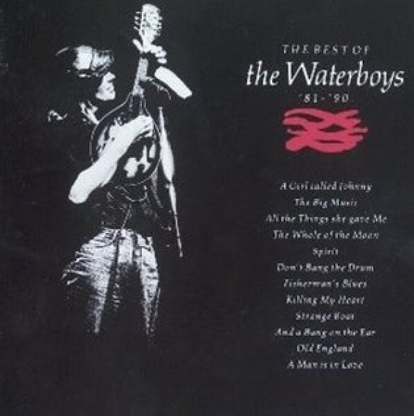 Waterboys Best of the Waterboys CD
