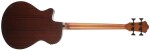 Ibanez AEGB30E Natural