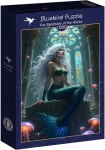 BLUEBIRD Puzzle Svatyně propasti