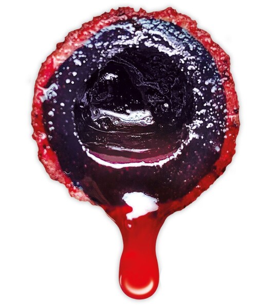 LK Baits Nutrigo Extra Bloodworm - 30mm 400ml,LK Baits Nutrigo Extra Bloodworm - 30mm 400ml