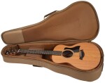 Taylor GS Mini Mahogany