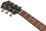 Ibanez V40WSCE Brown
