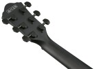 Ibanez AEWC621 Black Out
