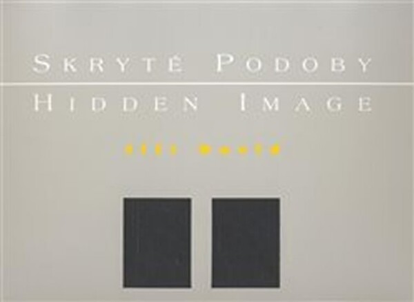 Skryté podoby/ Hidden Image Jiří David