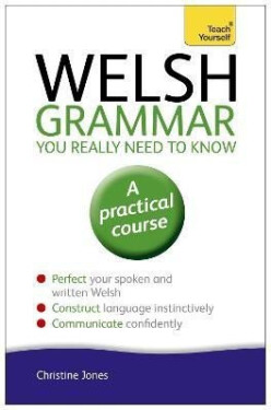 Welsh Grammar You Really Need to Know: Teach Yourself - Christine Jones