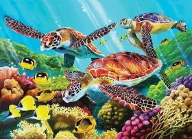 COBBLE HILL Rodinné puzzle Molokinský proud