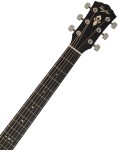 Taylor Gold Label 517e Blacktop