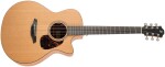 Furch Blue Gc-CM CNR Active 2026 Master's Choice