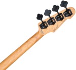 ESP LTD PHX-204DX Black Burst