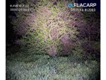Flacarp Čelovka HL 2000,Flacarp Čelovka HL 2000