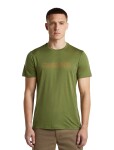 Pánské merino triko krátký rukáv ICEBREAKER Mens Merino 150 Tech Lite SS Tee IBCoordinates, Sphagnum velikost: M