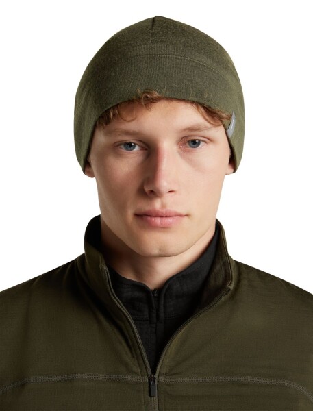 Unisex merino čepice ICEBREAKER Unisex Merino 260 Quantum Beanie, Dark Loden