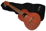 Takamine EGU-C1