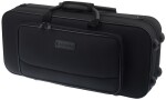 Eastman EAS253V