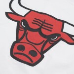 Mitchell & Ness Pánská bunda Chicago Bulls NBA 1992-1993 Authentic Warm Up Velikost: M