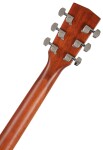 Cort AD 880CE NS