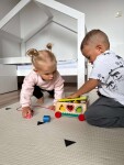 Mamido Dřevěná vzdělávací vkládačka 15ks – Objevuj barvy a tvary Montessori
