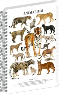 NOTIQUE Animalium – Kočkovité šelmy / Spirálový blok / A4 / čtverečkovaný