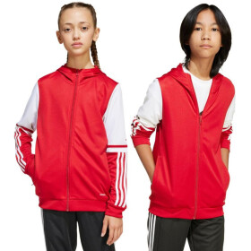 Mikina adidas Squadra 25 Hoodie Jr JD4801 128 cm