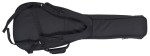 D'Angelico Double Cutaway Solid Body Black Flake