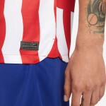 Atletico Madrid pánské tričko DF Stadium Home M DM1838 101 - Nike L