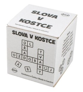 Slovo v kostce