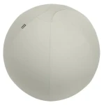 Leitz Ergo šedá / Gymnastický míč / průměr 65 cm / nosnost 150 kg / TÜV certifikace (65420085)