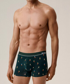 Boxerky Atlantic 2GMH-031/25 A'2 S-2XL zelená-zelená XL