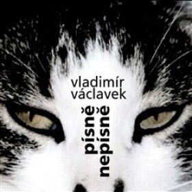 Písně nepísně - CD - Vladimír Václavek