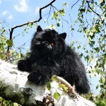 Plyšová kočka černá ležící 30 cm ECO-FRIENDLY