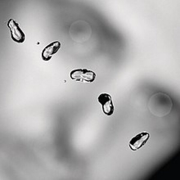 Peter Gabriel: Up - 2 LP - Peter Gabriel