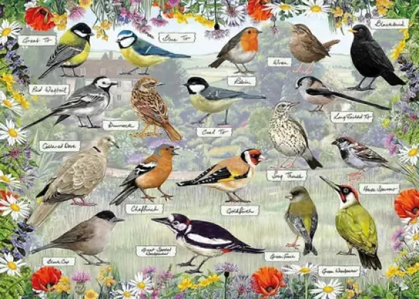 GIBSONS Puzzle RSPB: Šťastní ptáčci