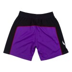 Mitchell & Ness Pánské kraťasy Toronto Raptors NBA 1999-00 Swingman Shorts Velikost: XL