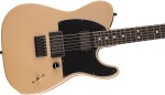 Fender Jim Root Telecaster EB SGD