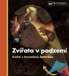 Zvířata v podzemí - Kniha s kouzelnou baterkou - Daniel Moignot