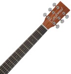 Tanglewood TR5 E