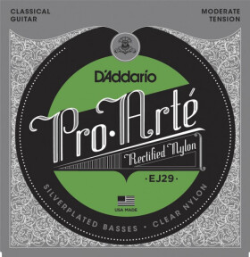 D'Addario EJ29