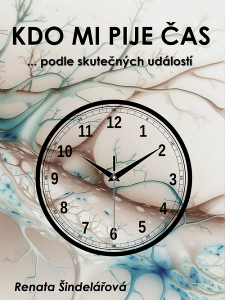 Kdo mi pije čas - Kniha, kterou psal sám život - Renata Šindelářová