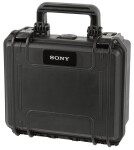 Sony C-100