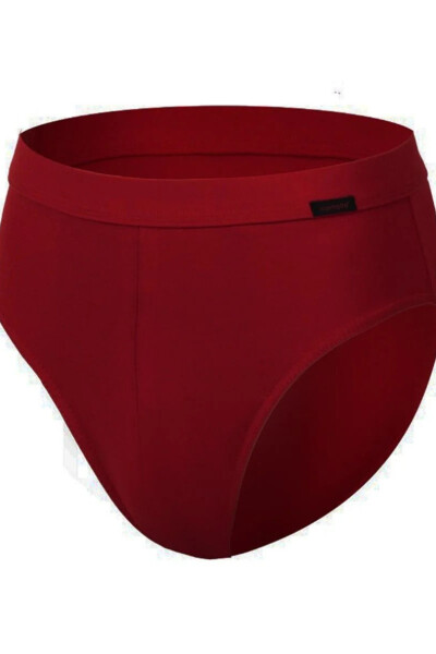 Pánské slipy AUTHENTIC 221 claret S