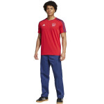 Adidas Arsenal London DNA Tee M IT4104 tričko pánské s