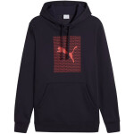 Mikina Puma Ess Logo Lab Hoodie FL M 684669 16 pánské M