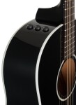 Taylor 217e-BLK Plus