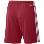 Pánské kraťasy Squadra 21 Short GN5771 Adidas