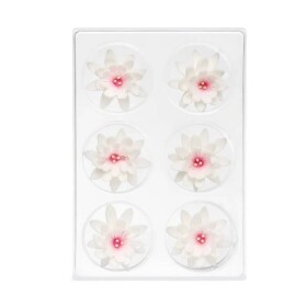 Dortisimo Cukrová dekorace Květy bílé (6 ks)