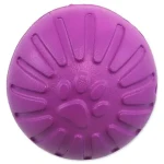 Dog Fantasy Hračka - EVA Míček fialový 9 cm (454-34023)
