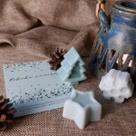 Sójový aroma vosk POHODA VÁNOČNÍ (Přírodní sójový vosk do aromalampy pohoda vánoční)