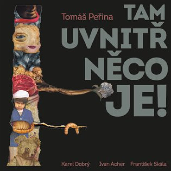 Tam uvnitř něco je (poškozená) - Tomáš Peřina - audiokniha