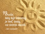 Magnet na lednici - Chvíle, kdy být šťastný, je teď, tady, na tomto místě. - Sri Chinmoy